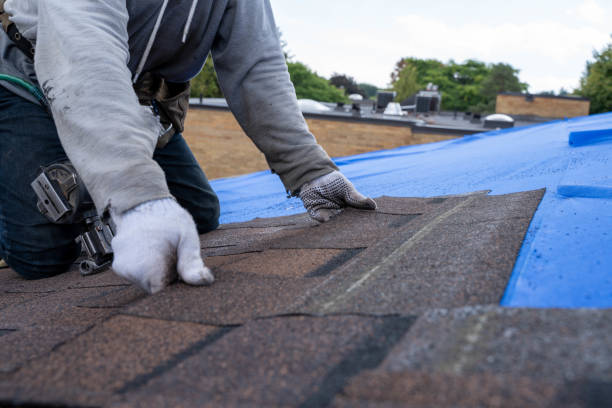 Best Residential Roofing Contractor  in Coaldale, PA