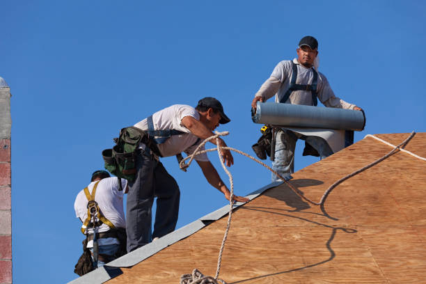 Best Roof Waterproofing Services  in Coaldale, PA
