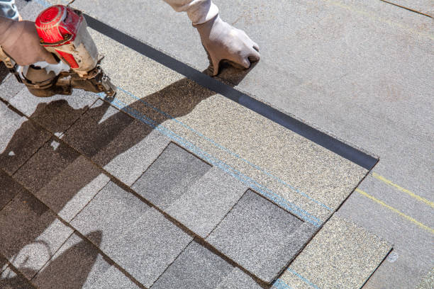 Best Roof Leak Repair  in Coaldale, PA
